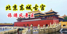 色色浪女中国北京-东城古宫旅游风景区